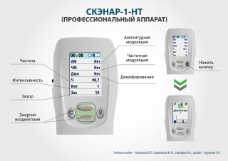 СКЭНАР-1-НТ (исполнение 01)  в Анапе купить Медицинский интернет магазин - denaskardio.ru 